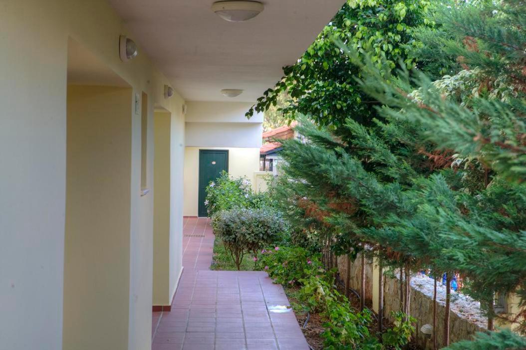 Margarita Beach Hotel Agia Marina エクステリア 写真